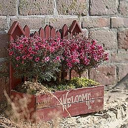 章鱼哥官宣参战《尼克儿童频道全明星大乱斗2》